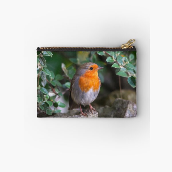 Item preview, European Robin Perched Among Green Leaves designed and sold by Shanguai.