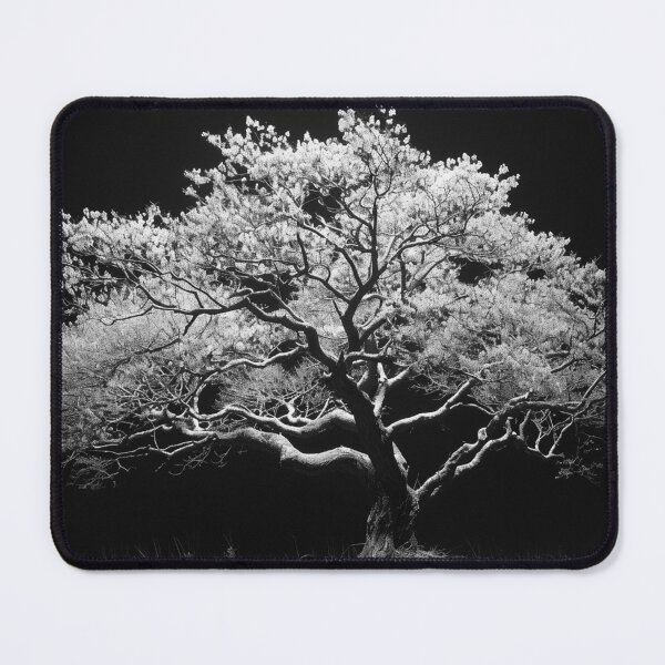 Item preview, Back lit monochrome beautiful tree nature plant black and white tree landscape fine art photograph designed and sold by Astrid Arkhangelsky.