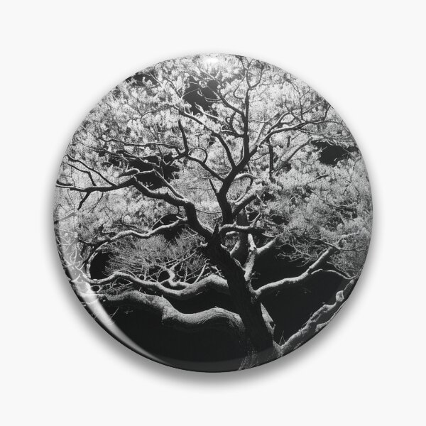 Item preview, Back lit monochrome beautiful tree nature plant black and white tree landscape fine art photograph designed and sold by Astrid Arkhangelsky.