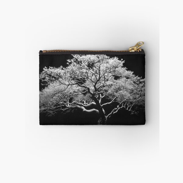 Item preview, Back lit monochrome beautiful tree nature plant black and white tree landscape fine art photograph designed and sold by Astrid Arkhangelsky.