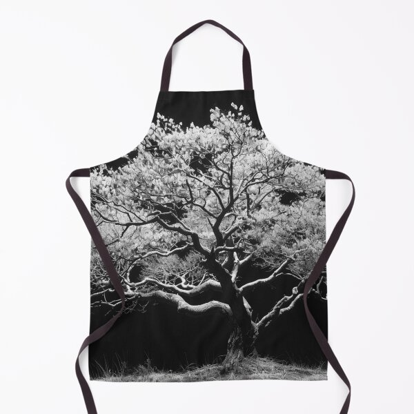 Item preview, Back lit monochrome beautiful tree nature plant black and white tree landscape fine art photograph designed and sold by Astrid Arkhangelsky.