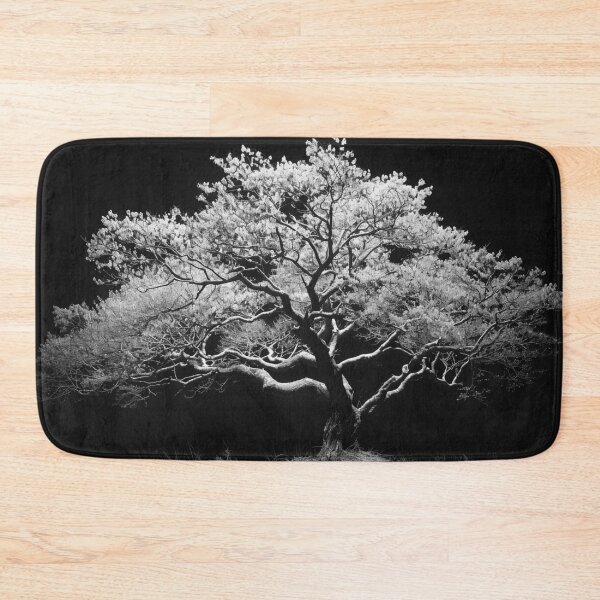 Item preview, Back lit monochrome beautiful tree nature plant black and white tree landscape fine art photograph designed and sold by Astrid Arkhangelsky.