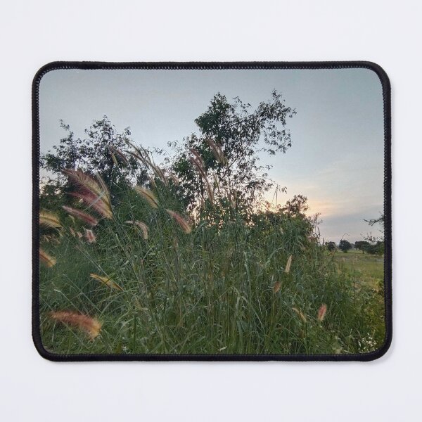 Item preview, Serene Evening View with Grass and Trees designed and sold by Dollacha.