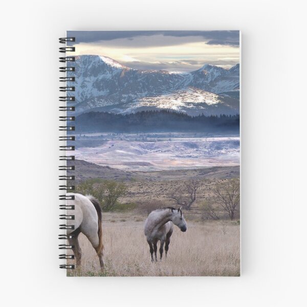 Item preview, Snapshot designed and sold by Bill Stephens.
