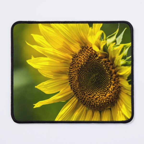Item preview, Sunflower Vibrance designed and sold by MoePhotography.