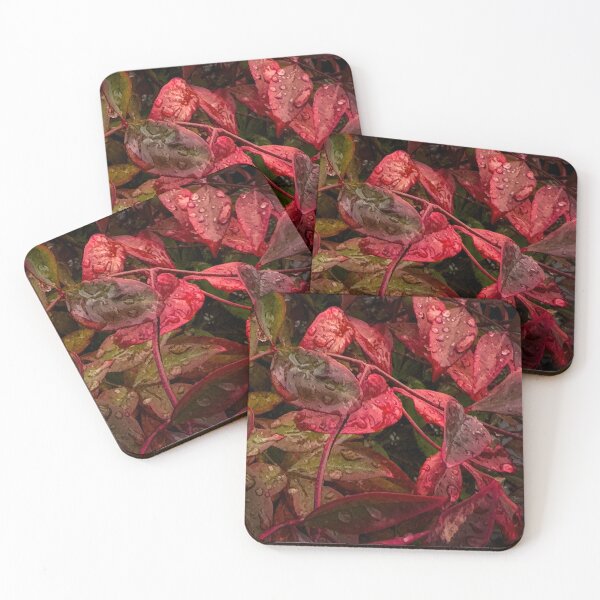 Item preview, Spritz designed and sold by Steve Walser.