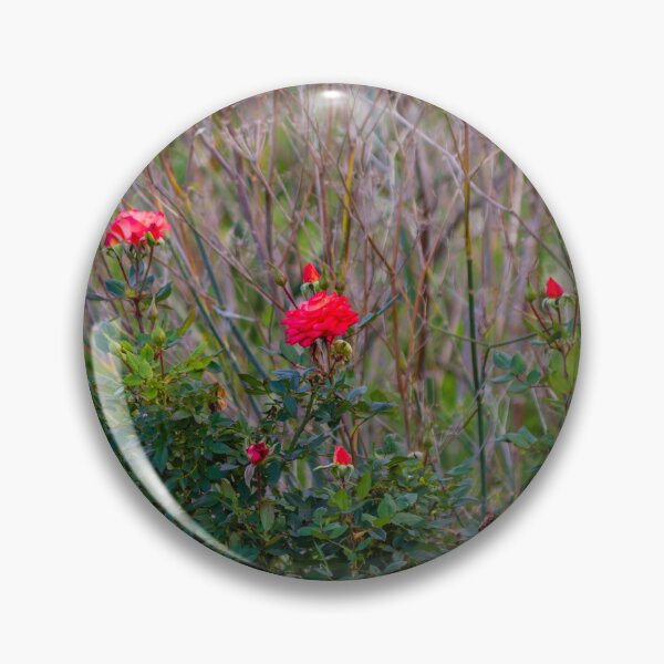 Item preview, Red Rose Bush With Blooming Roses and Buds Against Wild Grasses in Natural Garden designed and sold by Nmallia.