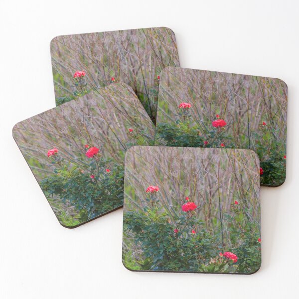 Item preview, Red Rose Bush With Blooming Roses and Buds Against Wild Grasses in Natural Garden designed and sold by Nmallia.
