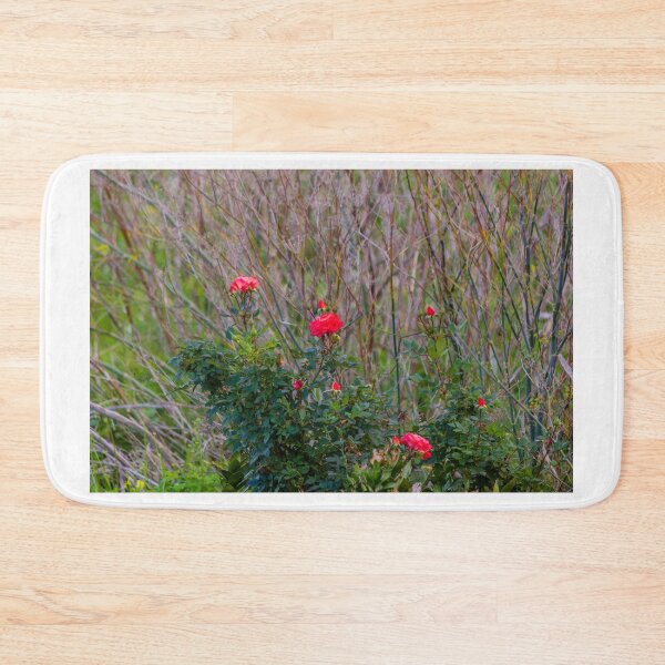 Item preview, Red Rose Bush With Blooming Roses and Buds Against Wild Grasses in Natural Garden designed and sold by Nmallia.
