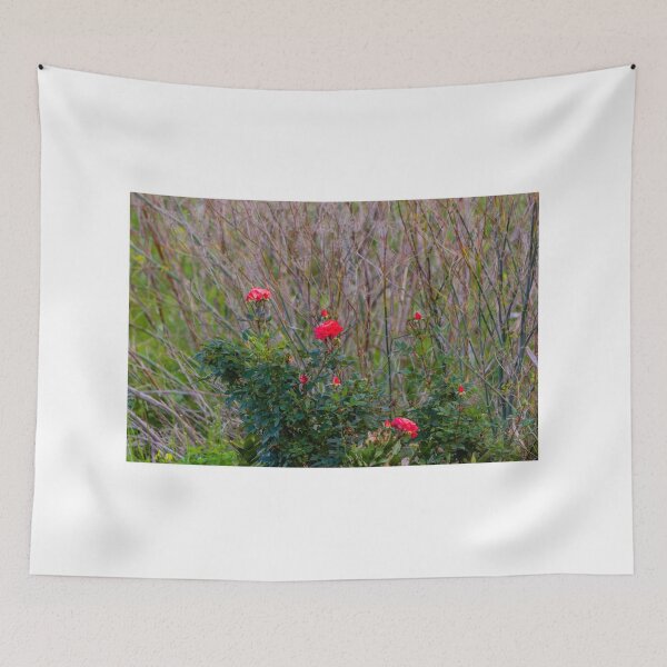 Item preview, Red Rose Bush With Blooming Roses and Buds Against Wild Grasses in Natural Garden designed and sold by Nmallia.