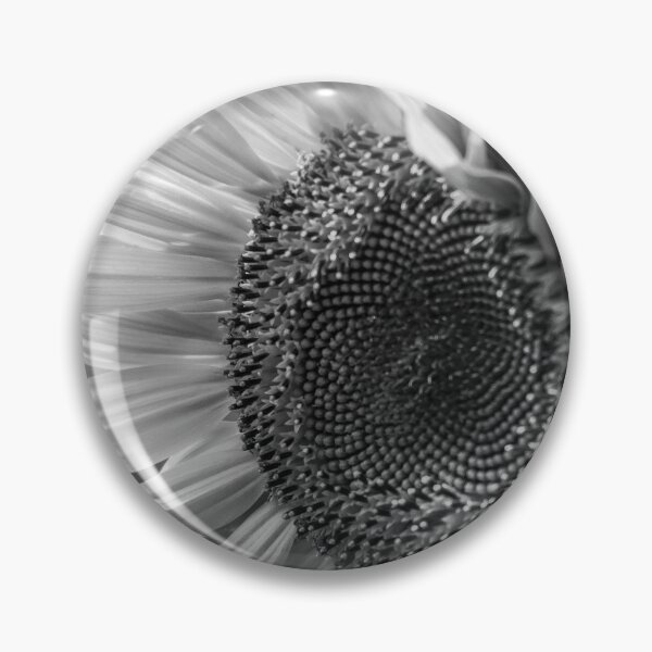 Item preview, Sunflower Vibrance BW designed and sold by MoePhotography.