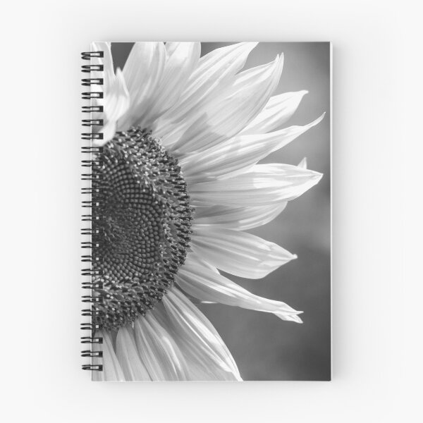 Item preview, Sunflower Vibrance BW designed and sold by MoePhotography.