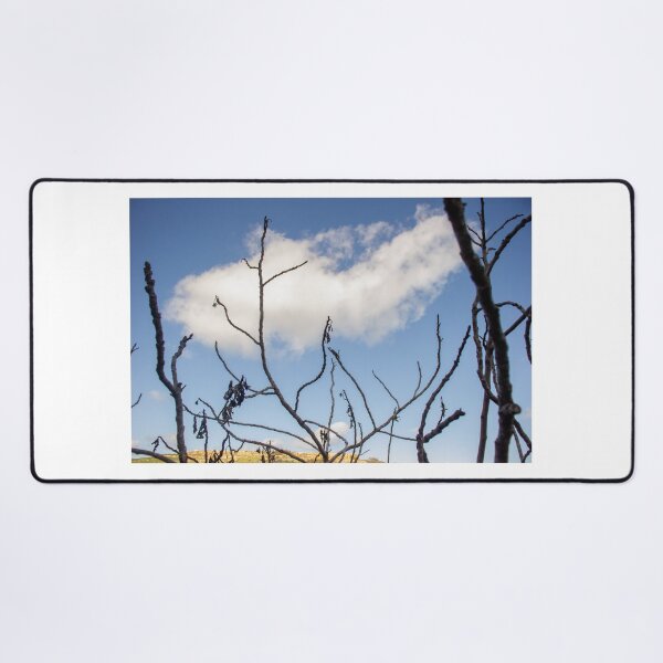 Item preview, Bare Tree Branches Silhouetted Against Blue Sky With Single Cloud Over Arid Landscape designed and sold by Nmallia.