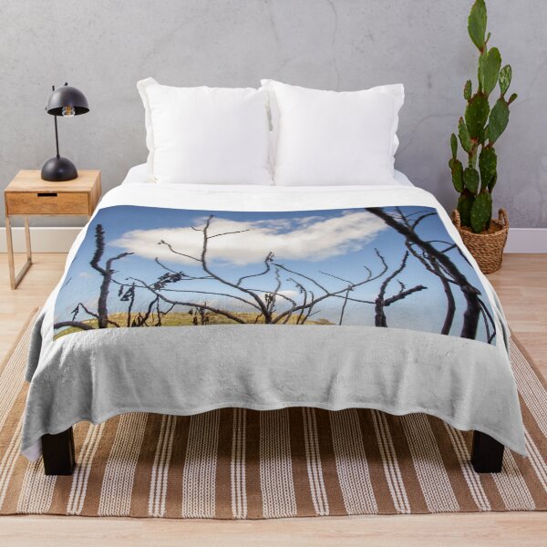 Item preview, Bare Tree Branches Silhouetted Against Blue Sky With Single Cloud Over Arid Landscape designed and sold by Nmallia.