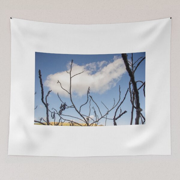 Item preview, Bare Tree Branches Silhouetted Against Blue Sky With Single Cloud Over Arid Landscape designed and sold by Nmallia.