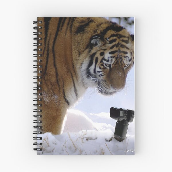 Item preview, Siberian Photography designed and sold by Bill Stephens.