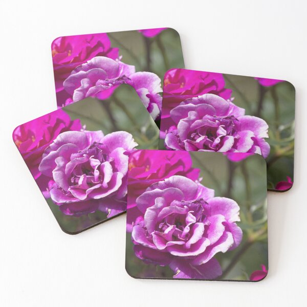 Item preview, Pink Roses designed and sold by MoePhotography.