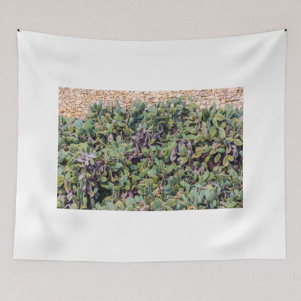 Item preview, Seto de cactus de nopal con frutos rojos junto a un muro de piedra rústica en un jardín mediterráneo. designed and sold by Nmallia.