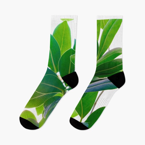 Item preview, A close-up view of a ficus flower fragment. designed and sold by IgorKovalenko.