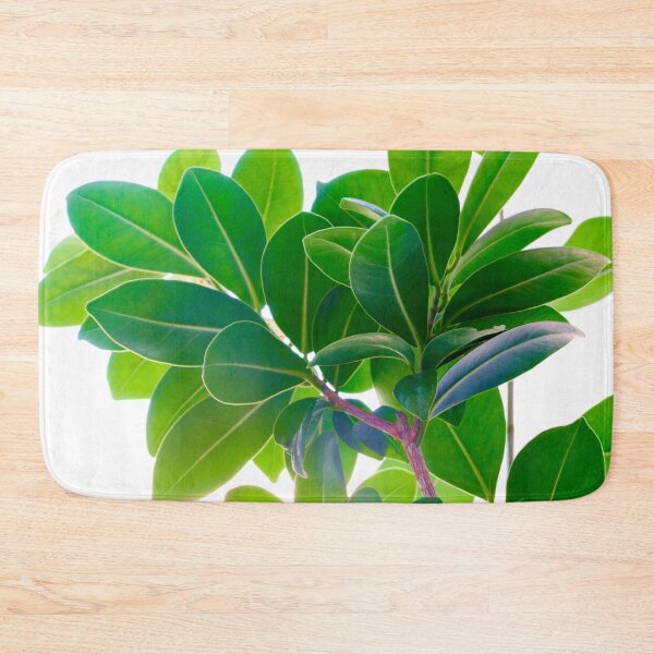 Item preview, A close-up view of a ficus flower fragment. designed and sold by IgorKovalenko.
