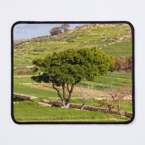 Item preview, Lone Green Tree Overlooking Terraced Countryside Fields With Stone Walls And Winding Road designed and sold by Nmallia.