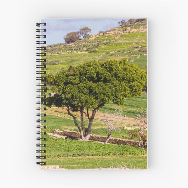 Item preview, Lone Green Tree Overlooking Terraced Countryside Fields With Stone Walls And Winding Road designed and sold by Nmallia.