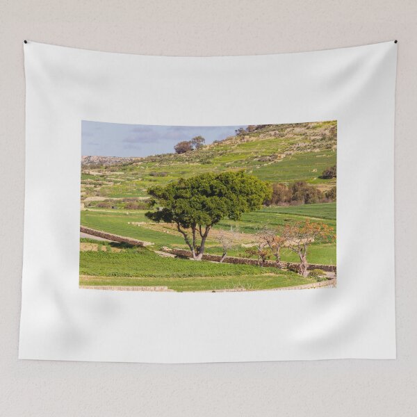 Item preview, Lone Green Tree Overlooking Terraced Countryside Fields With Stone Walls And Winding Road designed and sold by Nmallia.
