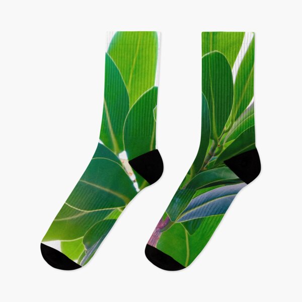 Item preview,  ficus flower fragment. designed and sold by IgorKovalenko.