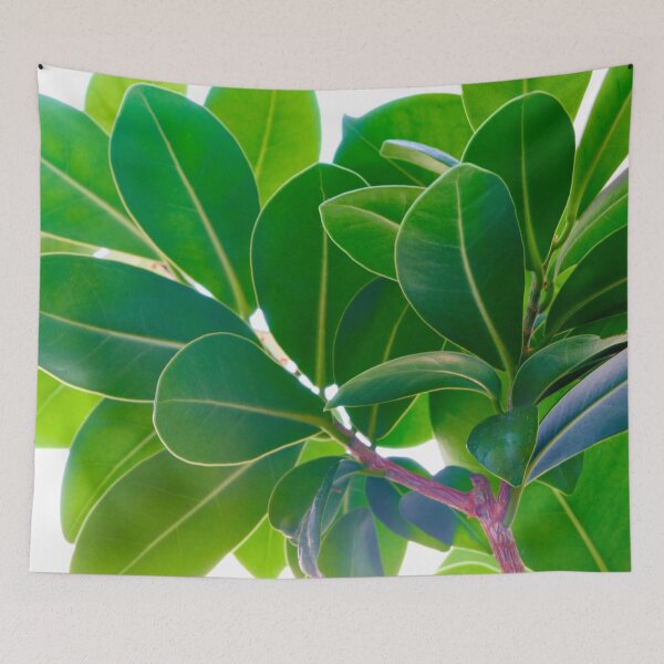 Item preview,  ficus flower fragment. designed and sold by IgorKovalenko.