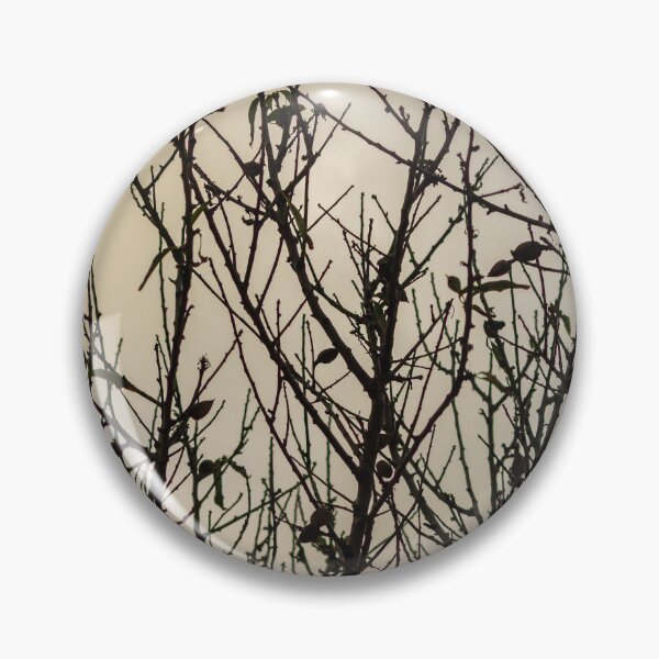 Item preview, Silhouette Of Leafless Tree Branches Against A Cloudy Sky With Sparse Seed Pods designed and sold by Nmallia.