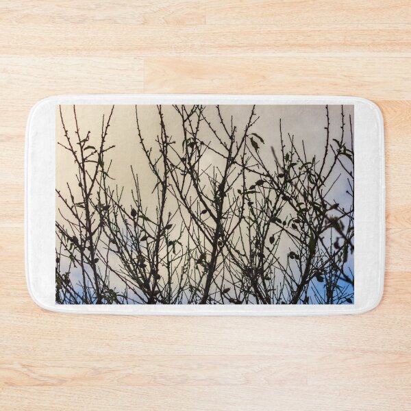 Item preview, Silhouette Of Leafless Tree Branches Against A Cloudy Sky With Sparse Seed Pods designed and sold by Nmallia.