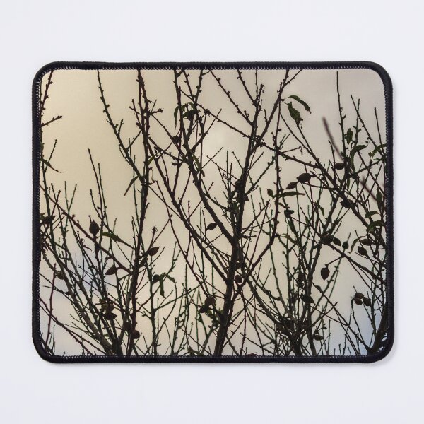 Item preview, Silhouette Of Leafless Tree Branches Against A Cloudy Sky With Sparse Seed Pods designed and sold by Nmallia.