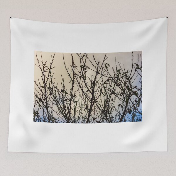 Item preview, Silhouette Of Leafless Tree Branches Against A Cloudy Sky With Sparse Seed Pods designed and sold by Nmallia.