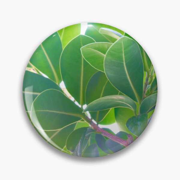 Item preview,  ficus flower fragment. designed and sold by IgorKovalenko.