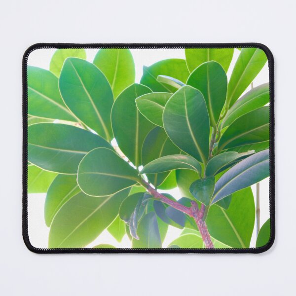 Item preview, ficus flower fragment. designed and sold by IgorKovalenko.