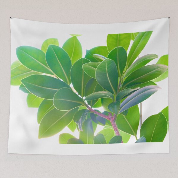 Item preview,  ficus flower fragment. designed and sold by IgorKovalenko.