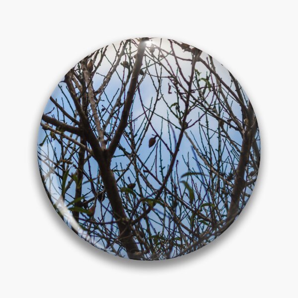 Item preview, Silhouette Of Leafless Tree Branches Against A Cloudy Sky With Sparse Seed Pods designed and sold by Nmallia.