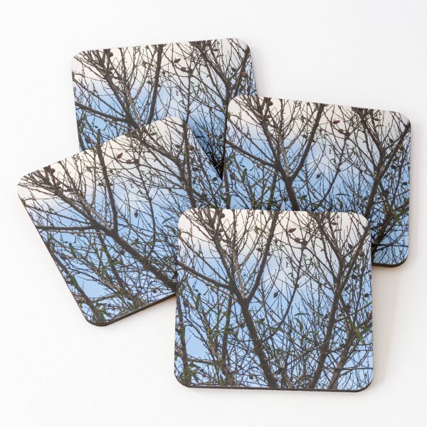Item preview, Silhouette Of Leafless Tree Branches Against A Cloudy Sky With Sparse Seed Pods designed and sold by Nmallia.