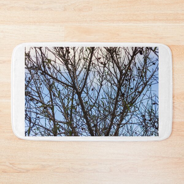Item preview, Silhouette Of Leafless Tree Branches Against A Cloudy Sky With Sparse Seed Pods designed and sold by Nmallia.
