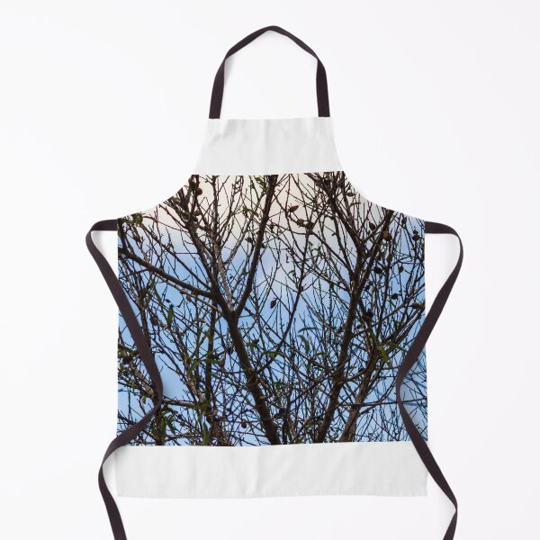 Item preview, Silhouette Of Leafless Tree Branches Against A Cloudy Sky With Sparse Seed Pods designed and sold by Nmallia.