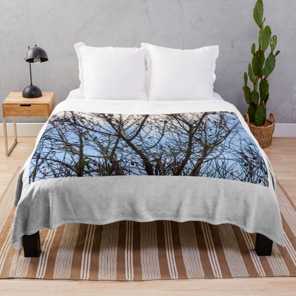 Item preview, Silhouette Of Leafless Tree Branches Against A Cloudy Sky With Sparse Seed Pods designed and sold by Nmallia.