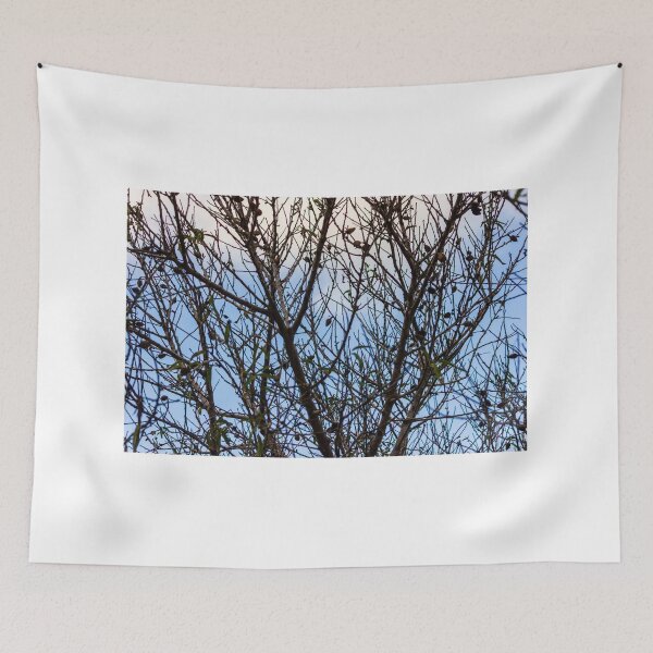 Item preview, Silhouette Of Leafless Tree Branches Against A Cloudy Sky With Sparse Seed Pods designed and sold by Nmallia.