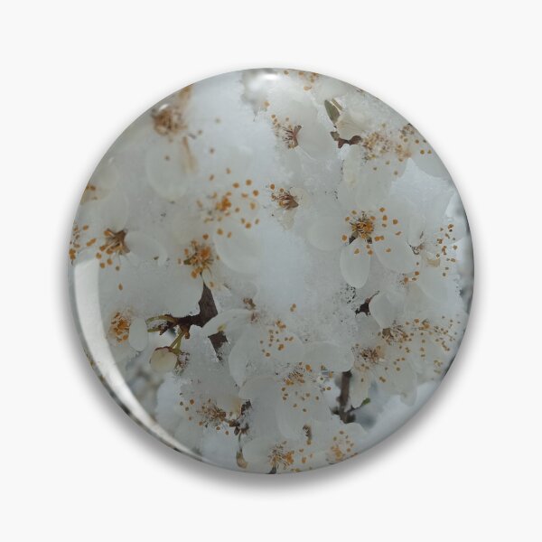 Item preview, Spring Blossom in Snow Nature Photography designed and sold by Nature Moments.