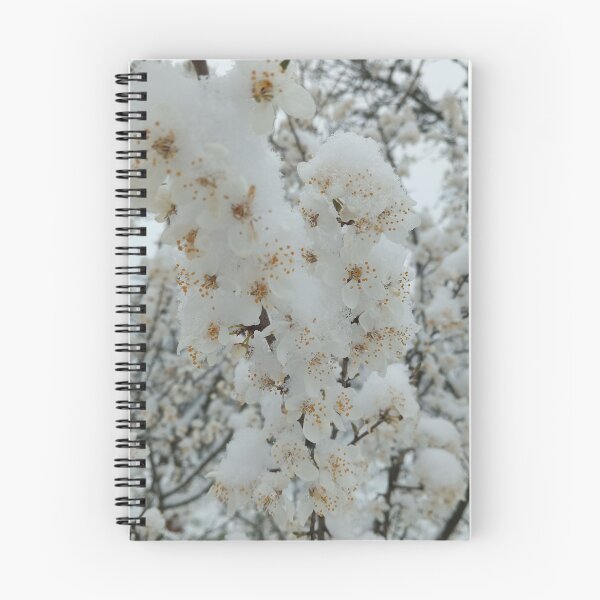 Item preview, Spring Blossom in Snow Nature Photography designed and sold by Nature Moments.