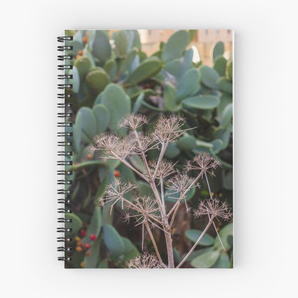 Item preview, Dried Umbel Seed Heads in Front of Prickly Pear Cactus Pads in Sunny Mediterranean Garden designed and sold by Nmallia.