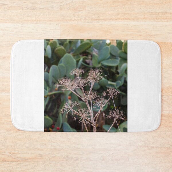 Item preview, Dried Umbel Seed Heads in Front of Prickly Pear Cactus Pads in Sunny Mediterranean Garden designed and sold by Nmallia.