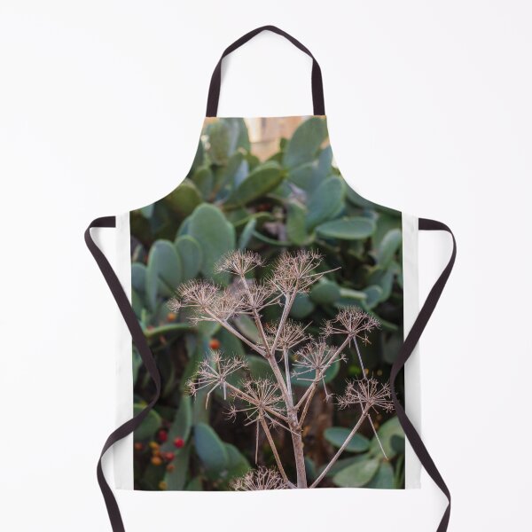 Item preview, Dried Umbel Seed Heads in Front of Prickly Pear Cactus Pads in Sunny Mediterranean Garden designed and sold by Nmallia.