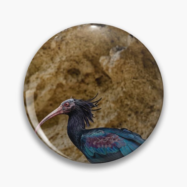 Item preview, A Northern Bald Ibis in Spain (1) designed and sold by TomRomanPhotos.