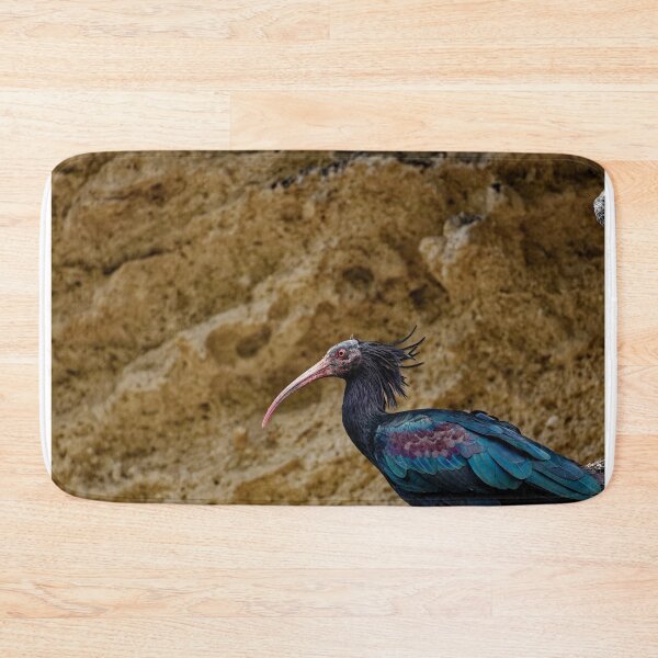 Item preview, A Northern Bald Ibis in Spain (1) designed and sold by TomRomanPhotos.