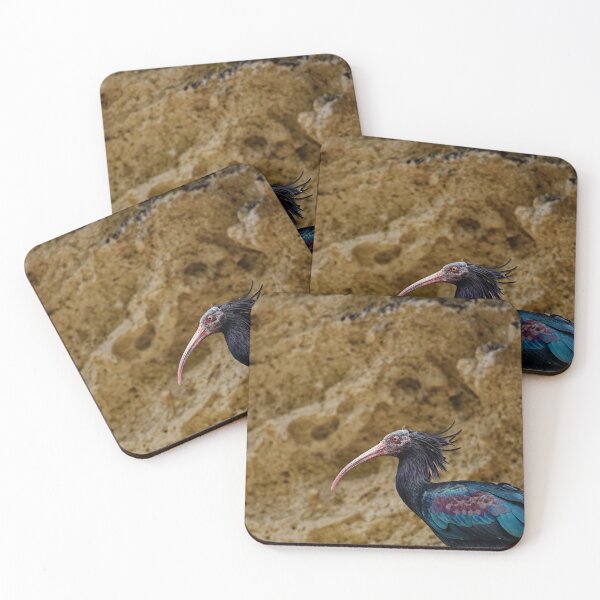 Item preview, A Northern Bald Ibis in Spain (1) designed and sold by TomRomanPhotos.